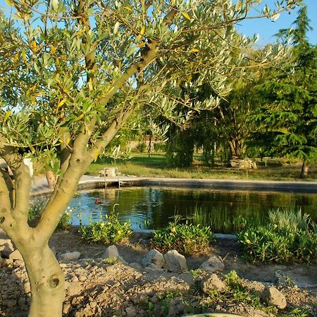 Le Mas Du Caprier Charleval (Bouches-du-Rhone) Exterior foto