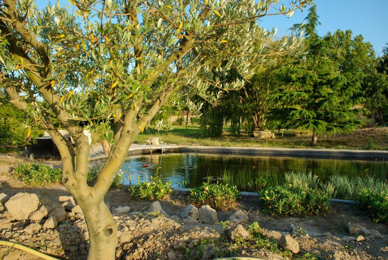 Le Mas Du Caprier Charleval (Bouches-du-Rhone) Exterior foto